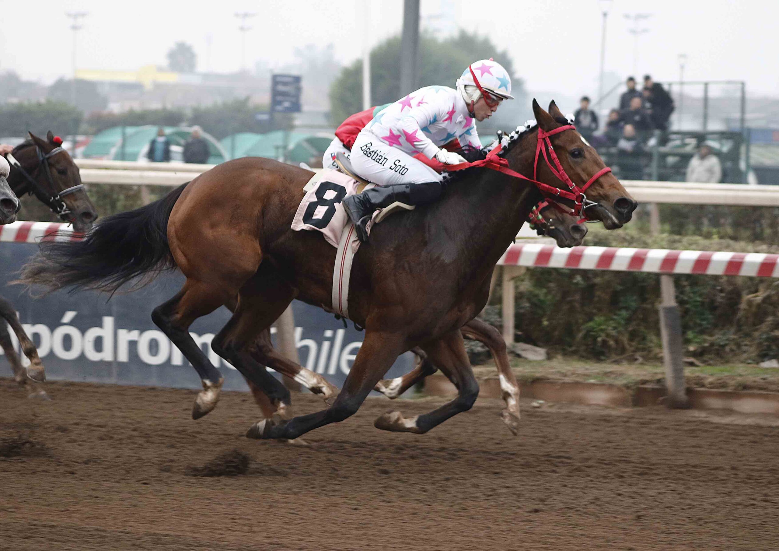 «Octava Región» gana el Clásico Comité Olímpico de Chile